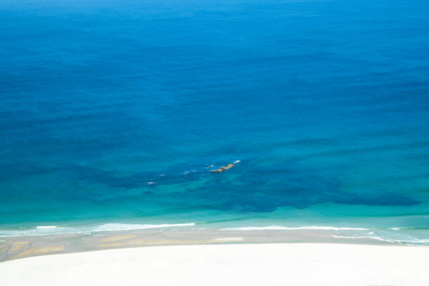 istock aerial view of the beach 1133479524