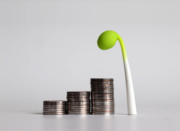 istock Three pile of coins and a bud. 1133481059