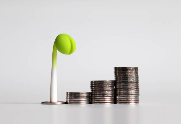istock The pile of coins and a sprout. 1133481574