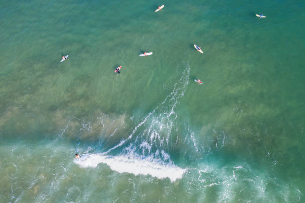 Hanalei surfers aerial view in Hawaii. Hanalei surfers aerial view on the island of Kauai, Hawaii. north shore stock pictures, royalty-free photos & images