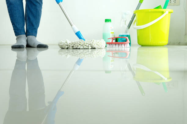 istock woman work for clean house window sofa table 1133486008
