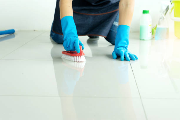 istock woman work for clean house window sofa table 1133486016