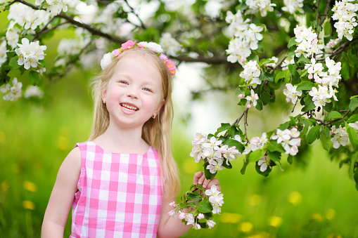 Young woman with long hair posing near sakura tree in a garden. Spring day. Spring pink sakura blossom. Perfume and fashion