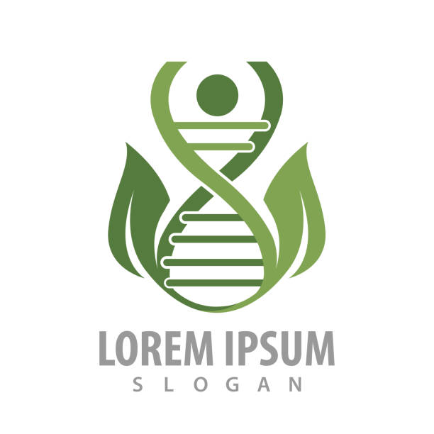 projekt koncepcyjny logo ludzkiego liścia dna. wektor elementu szablonu graficznego symbolu - 2948 stock illustrations