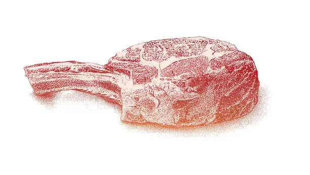 Vector illustration of Bone-in rib eye steak. USDA Prime, cowboy cut.