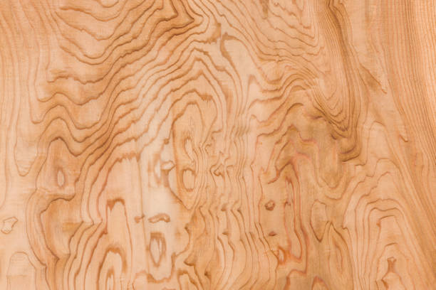 istock Wood grain of Sugi board 1133511449