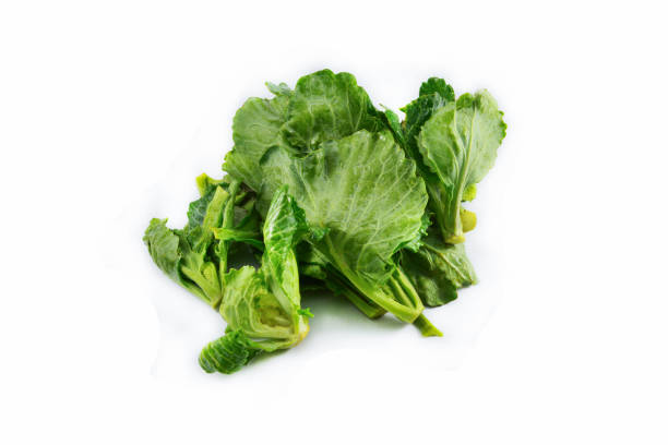 istock Fresh green leaves cabbage isolated on white background / Organic vegetable 1133512892
