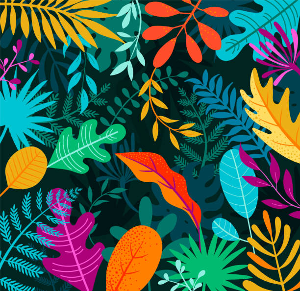 illustrations, cliparts, dessins animés et icônes de fond de jungle avec des feuilles de palmier tropicales. - blended colour illustrations