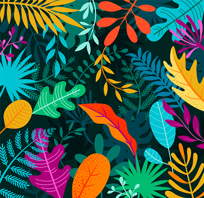 Jungle background with tropical palm leaves. Exotic plants template for your design, banner, poster, fashion, interior. Vector illustration.