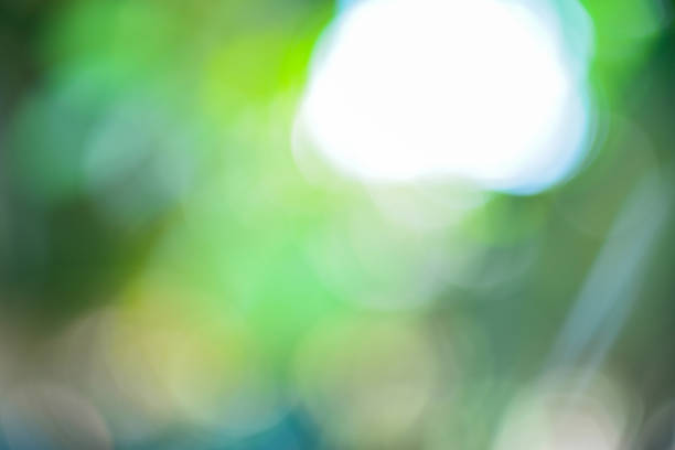 istock Abstract green blur bokeh nature background 1133517898