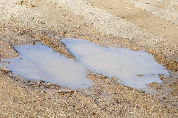 istock Puddles in the Park 1133519168