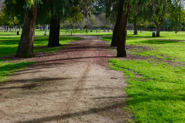 istock Puddles in the Park 1133519188