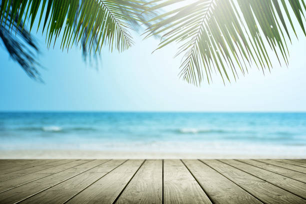 istock Tropical beach background with palm tree and empty wooden, Summer. 1133520598