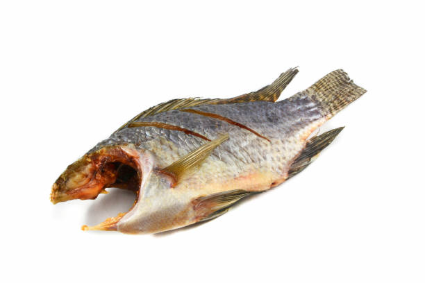 istock sun drying tilapia fish dried isolated on white background 1133521411