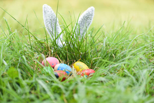 istock Easter bunny and Easter eggs on green grass outdoor 1133521892