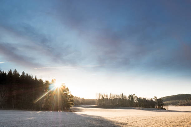 istock Sunrise over field early spring in sweden 1133522768