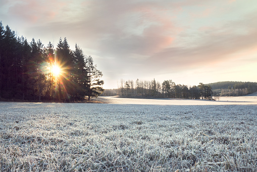 Soluppgång över fält en tidig morgon en tidig vår i Sverige. Vackra ljusa färger och svaga moln