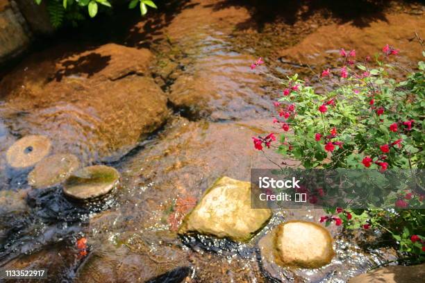 Brook Flower Stock Photo - Download Image Now - Bathtub, Beach, Cliff