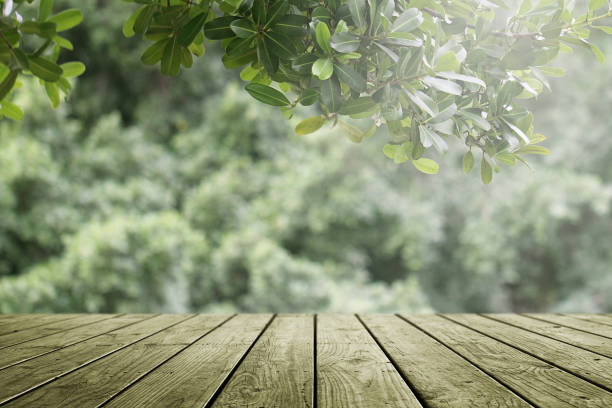 istock Empty wooden and blurred green nature garden background. 1133523196