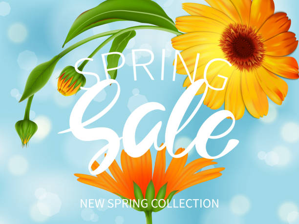 istock Inscription Spring Sale in background blooming flowers of calendula 1133523383