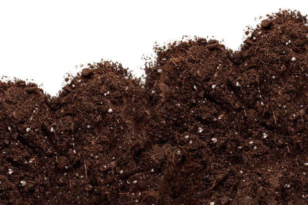 istock Fertile garden soil with white space for copy 1133524820