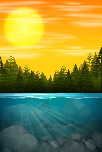 Vector illustration of Beautiful water forest scene