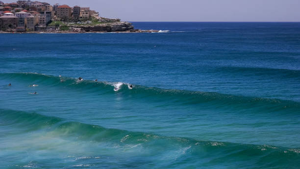 istock bodyboard surfer at bondi beach in sydney, australia 1133527578