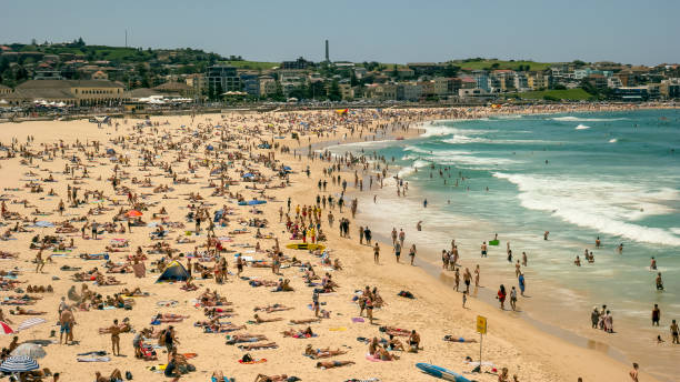 grande angular da praia de bondi em sydney, austrália - crowd surfing - fotografias e filmes do acervo