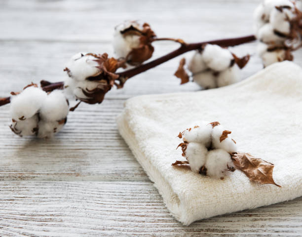 istock cotton flower and towel 1133527991