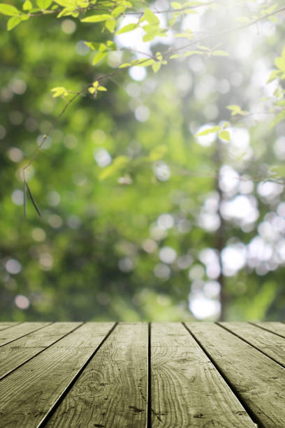 istock Empty wooden and blurred green nature garden background. 1133530461