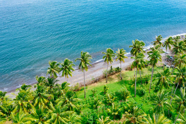 istock Bali - beach from above. Straight drone shot 1133530573