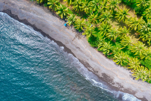 istock Bali - beach from above. Straight drone shot 1133530592