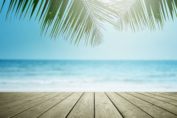 istock Tropical beach background with palm tree and empty wooden, Summer. 1133531221