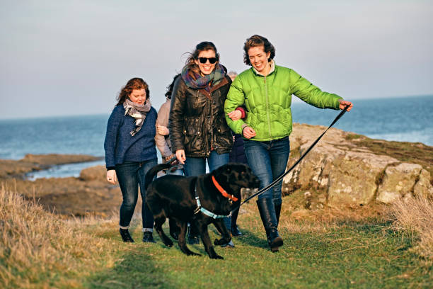 istock Family walk by the sea 1133531381