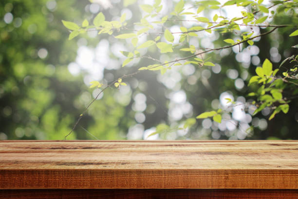 istock Wooden table and blurred green nature garden background. 1133533530