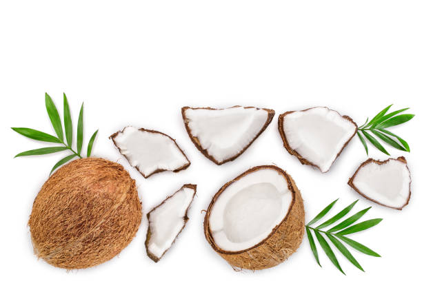 istock coconut with leaves isolated on white background with copy space for your text. Top view. Flat lay 1133534513