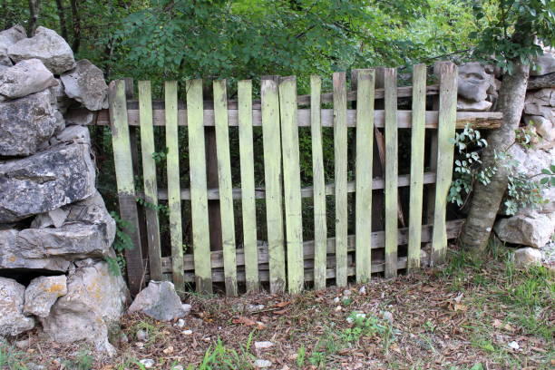 istock Improvised backyard door made from dilapidated wooden pallet mounted between traditional stone wall with dense branches and garden vegetation in back 1133535476