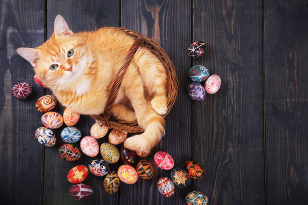 istock Cat sitting in the basket on a wooden background with Easter eggs. 1133536596