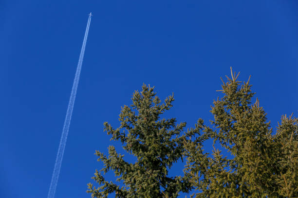 istock Airplane with smoke trail on a perfect blue sky 1133537508