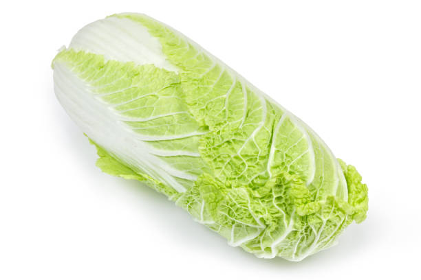 istock Head of napa cabbage close-up on a white background 1133540096