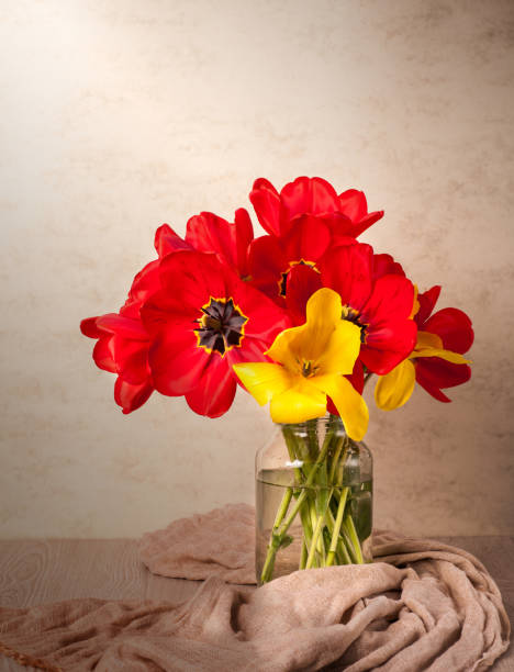 istock Still life with tulips 1133540223