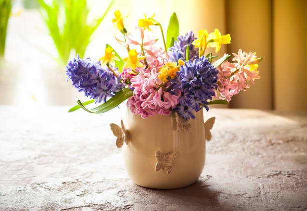 pasqua - hyacinth flower vase daffodil foto e immagini stock