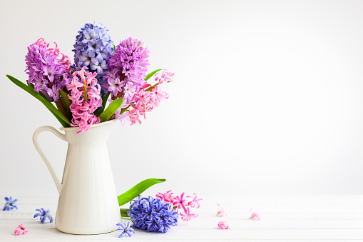 Flowers composition with lilac and pink hyacinths. Spring flowers in vase on white background.