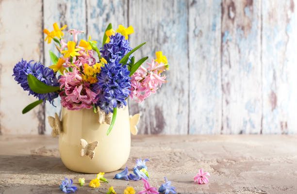 pasqua - hyacinth flower vase daffodil foto e immagini stock