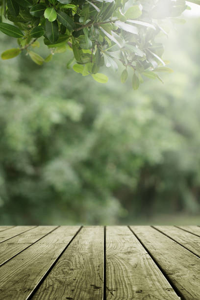 istock Empty wooden and blurred green nature garden background. 1133541667