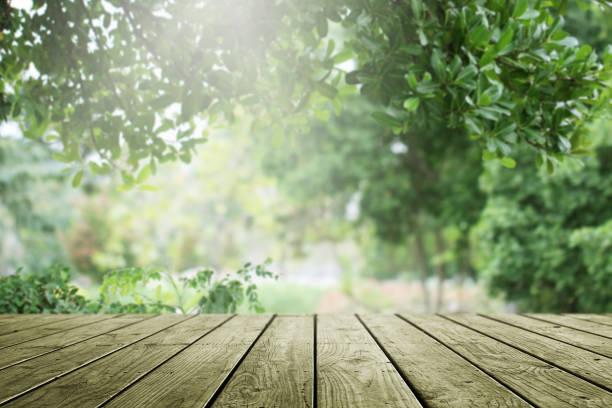 istock Empty wooden and blurred green nature garden background. 1133542039