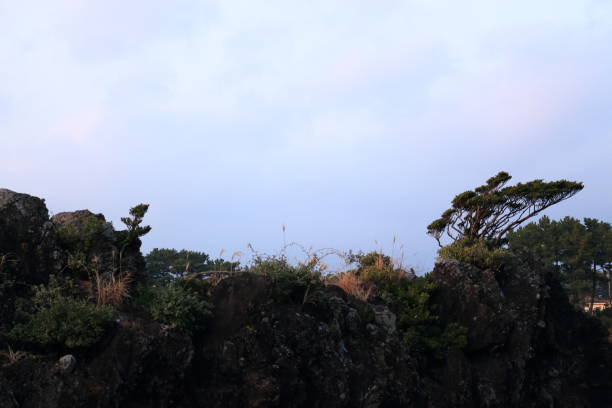 istock Strewn, coastal, sea, lava, 1133544049
