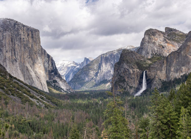 istock Yosemite national Park 1133544394