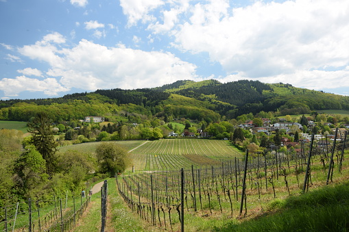 Staufen in Breisgau, Germany