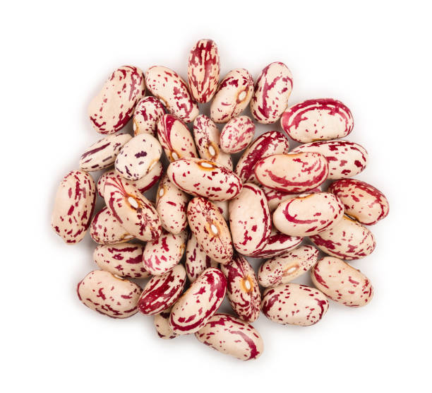 istock variegated kidney bean isolated on white background. Top view. Flat lay 1133545350